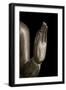 Buddha en attitude de marche-null-Framed Giclee Print