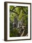 Buddha Face on the Western Gate of Angkor Thom, Siem Reap, Cambodia, Southeast Asia-Alex Robinson-Framed Photographic Print