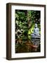 Buddha Garden-Jan Michael Ringlever-Framed Art Print