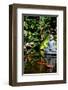 Buddha Garden-Jan Michael Ringlever-Framed Art Print