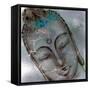 Buddha Gaze-Stella Chang-Framed Stretched Canvas