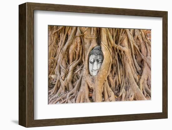 Buddha Head at Ayuthaya-David Ionut-Framed Photographic Print