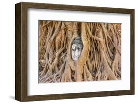 Buddha Head at Ayuthaya-David Ionut-Framed Photographic Print