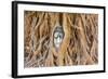 Buddha Head at Ayuthaya-David Ionut-Framed Photographic Print