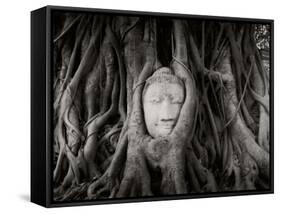 Buddha Head in the Roots of a Tree, Wat Mahathat, Ayutthaya Historical Park, Ayutthaya, Thailand-null-Framed Stretched Canvas