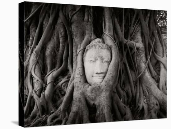 Buddha Head in the Roots of a Tree, Wat Mahathat, Ayutthaya Historical Park, Ayutthaya, Thailand-null-Stretched Canvas