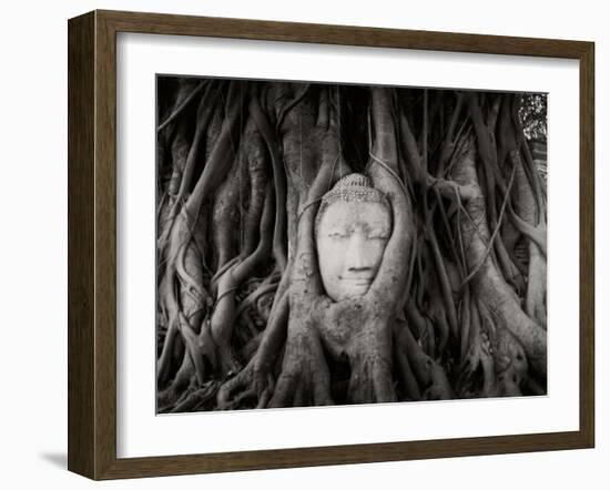 Buddha Head in the Roots of a Tree, Wat Mahathat, Ayutthaya Historical Park, Ayutthaya, Thailand-null-Framed Premium Photographic Print