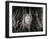 Buddha Head in the Roots of a Tree, Wat Mahathat, Ayutthaya Historical Park, Ayutthaya, Thailand-null-Framed Premium Photographic Print