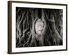 Buddha Head in the Roots of a Tree, Wat Mahathat, Ayutthaya Historical Park, Ayutthaya, Thailand-null-Framed Photographic Print