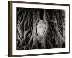 Buddha Head in the Roots of a Tree, Wat Mahathat, Ayutthaya Historical Park, Ayutthaya, Thailand-null-Framed Photographic Print