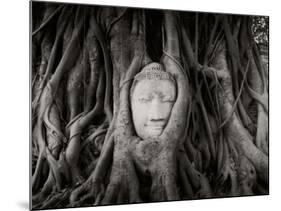 Buddha Head in the Roots of a Tree, Wat Mahathat, Ayutthaya Historical Park, Ayutthaya, Thailand-null-Mounted Photographic Print