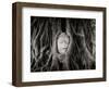 Buddha Head in the Roots of a Tree, Wat Mahathat, Ayutthaya Historical Park, Ayutthaya, Thailand-null-Framed Photographic Print