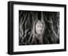 Buddha Head in the Roots of a Tree, Wat Mahathat, Ayutthaya Historical Park, Ayutthaya, Thailand-null-Framed Photographic Print