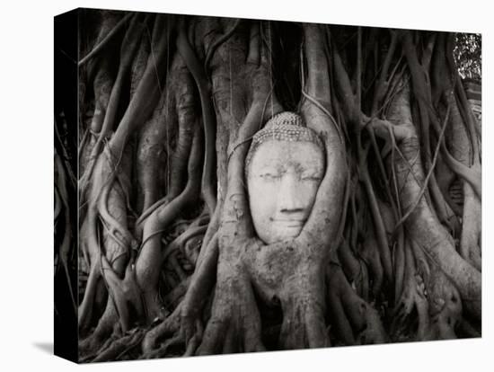 Buddha Head in the Roots of a Tree, Wat Mahathat, Ayutthaya Historical Park, Ayutthaya, Thailand-null-Stretched Canvas