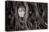 Buddha Head In Tree At Ayutthaya, Thailand-Lindsay Daniels-Stretched Canvas