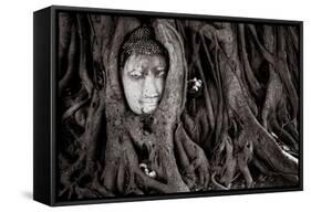 Buddha Head In Tree At Ayutthaya, Thailand-Lindsay Daniels-Framed Stretched Canvas