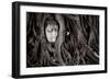 Buddha Head In Tree At Ayutthaya, Thailand-Lindsay Daniels-Framed Photographic Print