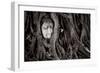 Buddha Head In Tree At Ayutthaya, Thailand-Lindsay Daniels-Framed Photographic Print