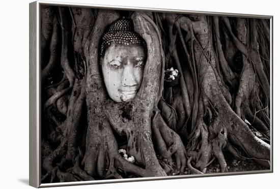 Buddha Head In Tree At Ayutthaya, Thailand-Lindsay Daniels-Framed Photographic Print