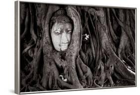 Buddha Head In Tree At Ayutthaya, Thailand-Lindsay Daniels-Framed Photographic Print