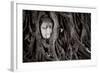 Buddha Head In Tree At Ayutthaya, Thailand-Lindsay Daniels-Framed Photographic Print