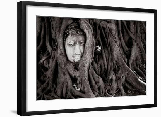 Buddha Head In Tree At Ayutthaya, Thailand-Lindsay Daniels-Framed Photographic Print