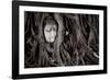 Buddha Head In Tree At Ayutthaya, Thailand-Lindsay Daniels-Framed Photographic Print