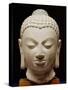 Buddha Head, Sarnath Culture, 500 Ad-null-Stretched Canvas