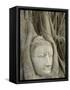 Buddha Head, Wat Mahathat, Ayutthaya, UNESCO World Heritage Site, Thailand, Southeast Asia, Asia-Richard Maschmeyer-Framed Stretched Canvas