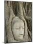 Buddha Head, Wat Mahathat, Ayutthaya, UNESCO World Heritage Site, Thailand, Southeast Asia, Asia-Richard Maschmeyer-Mounted Photographic Print
