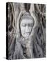 Buddha Head, Wat Phra Mahathat, Ayutthaya, Thailand-Michele Falzone-Stretched Canvas