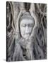 Buddha Head, Wat Phra Mahathat, Ayutthaya, Thailand-Michele Falzone-Stretched Canvas