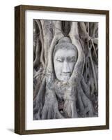 Buddha Head, Wat Phra Mahathat, Ayutthaya, Thailand-Michele Falzone-Framed Photographic Print