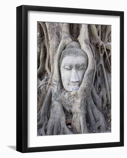 Buddha Head, Wat Phra Mahathat, Ayutthaya, Thailand-Michele Falzone-Framed Photographic Print