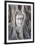 Buddha Head, Wat Phra Mahathat, Ayutthaya, Thailand-Michele Falzone-Framed Photographic Print
