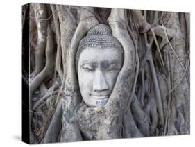 Buddha Head, Wat Phra Mahathat, Ayutthaya, Thailand-Michele Falzone-Stretched Canvas