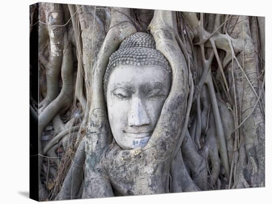 Buddha Head, Wat Phra Mahathat, Ayutthaya, Thailand-Michele Falzone-Stretched Canvas