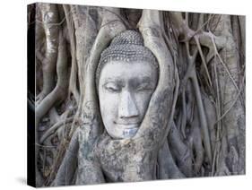 Buddha Head, Wat Phra Mahathat, Ayutthaya, Thailand-Michele Falzone-Stretched Canvas