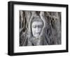 Buddha Head, Wat Phra Mahathat, Ayutthaya, Thailand-Michele Falzone-Framed Photographic Print