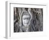 Buddha Head, Wat Phra Mahathat, Ayutthaya, Thailand-Michele Falzone-Framed Photographic Print