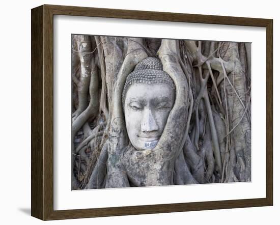 Buddha Head, Wat Phra Mahathat, Ayutthaya, Thailand-Michele Falzone-Framed Photographic Print