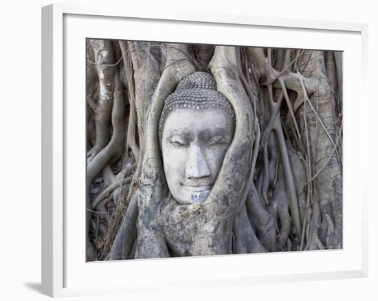 Buddha Head, Wat Phra Mahathat, Ayutthaya, Thailand-Michele Falzone-Framed Photographic Print