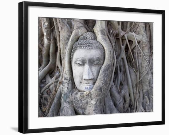 Buddha Head, Wat Phra Mahathat, Ayutthaya, Thailand-Michele Falzone-Framed Photographic Print