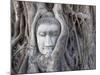 Buddha Head, Wat Phra Mahathat, Ayutthaya, Thailand-Michele Falzone-Mounted Photographic Print