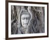 Buddha Head, Wat Phra Mahathat, Ayutthaya, Thailand-Michele Falzone-Framed Photographic Print