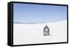 Buddha Head, White Sands National Monument, Alamogordo, New Mexico-Julien McRoberts-Framed Stretched Canvas