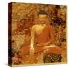 Buddha II-Irena Orlov-Stretched Canvas