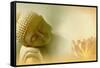 Buddha III-Christine Ganz-Framed Stretched Canvas