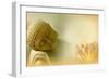 Buddha III-Christine Ganz-Framed Art Print