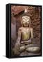 Buddha Image Inside a Ruined Stupa-Stuart Black-Framed Stretched Canvas